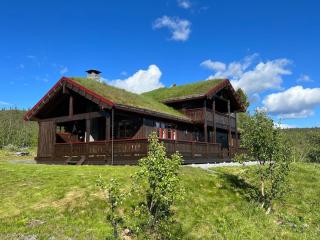 Cozy family cabin in the mountains - 0