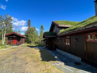 Cozy family cabin in the mountains - 9