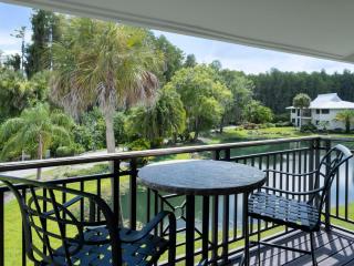 Saddlebrook Resort - 5