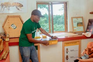 Anmut & Apiculture Museum - 3