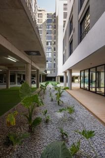 Top Floor with Balcony and Garage , Sleeps 4 - 3