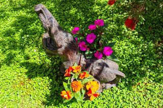 Apartment Ivana Charming garden & free parking - 6