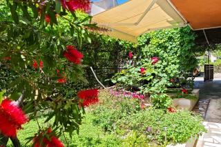 Apartment Ivana Charming garden & free parking - 1