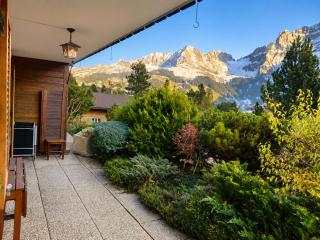 Skirennen von der Terrasse mitverfolgen - Adelboden - 8