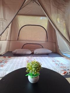 Luxury Tenda - 9