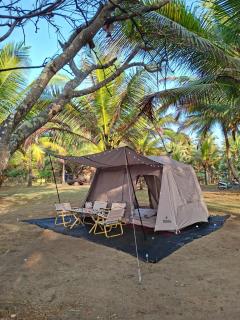 Luxury Tenda - 0