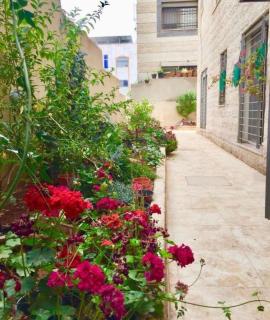 عمان - 6
