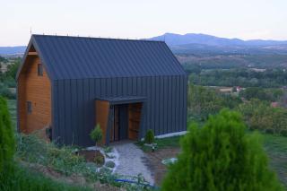 Wood house Dodic - 1