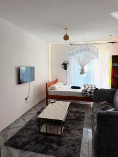 Lulu diani studio apartment - 0