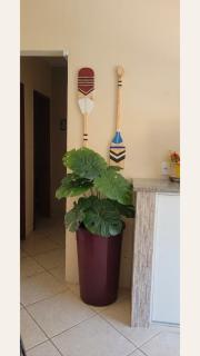 Verão em Família|Praia 350m+Piscina| Melhor Quadra - 6