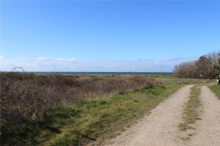 12287-Sjaellands-Odde-Groftekanten-55 - 3
