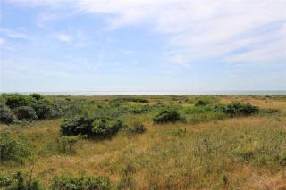 12287-Sjaellands-Odde-Groftekanten-55 - 2