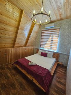 Villa Chalet Gabala - 8