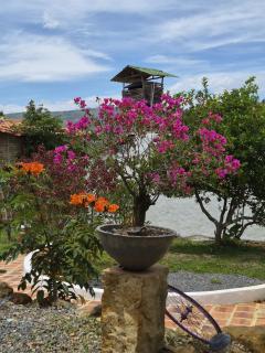 Hotel Florré Blossom Barichara - 5