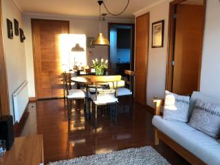 Lindo departamento en Viña del Mar, piso 8 - 4