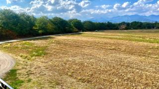 La Primarosa B&B - Cossato - 5