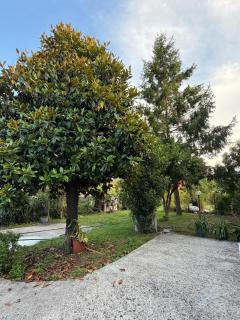 Da Francesca guestrooms - Appartamento - 1