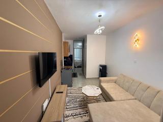 One-Bedroom Apartment , Nairobi Roysambu - 1