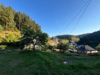 Monte Peak Cottage- Charming Country House-Central - 9