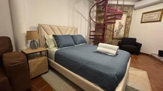 Duplex in Casco Antiguo across from the Sofitel - 7