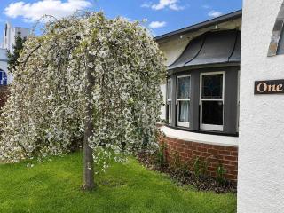 Charming inner city home excellent base in Hobart - 4
