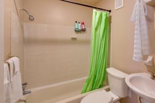 Tampa Group Escape: 3 Units Near Downtown - 2