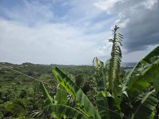 Roatan Ocean View Home 6 Bedrooms 3 Bathrooms Swimming pool - 0