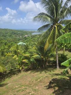 Roatan Ocean View Home 6 Bedrooms 3 Bathrooms Swimming pool - 1