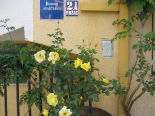 Apartments Gogi - One bedroom apartment A5 - 2