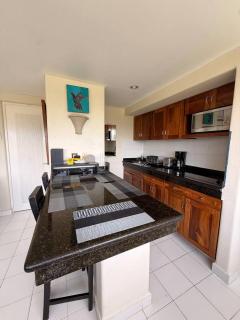 Elegant Beachfront Studio In Monarca Ixtapa - 5
