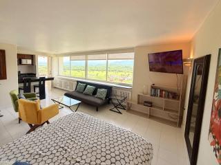 Elegant Beachfront Studio In Monarca Ixtapa - 8
