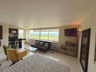 Elegant Beachfront Studio In Monarca Ixtapa - 7