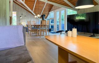 3 Bedroom Awesome Home In Ansager - 7