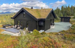 Gorgeous Home In Vinje With Wifi - 0