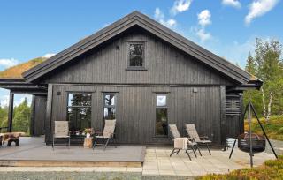 Gorgeous Home In Vinje With Wifi - 1