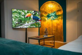 NOOR - Golden Mood or Cinema Luxe - 6