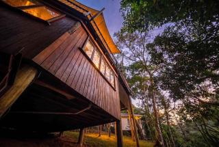 The Rainforest Nook - 9