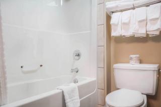 Comfort Inn & Suites - 7