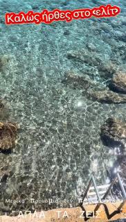 Ελίτ seafront luxury suites - 7