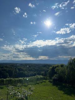 Living & Relax Resorts - 4