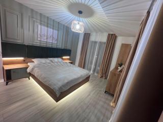 The Alpine Nest Apartament - 9
