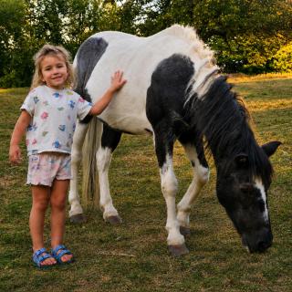 Adventure Farm - 5