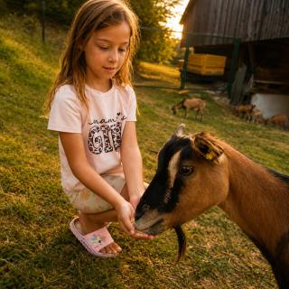 Adventure Farm - 6