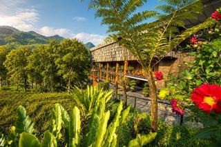 MT House Sa Pa - Mountain & Terraced fields View And Trekking Tour - 1