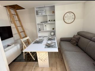 Petit studio au fond du jardin - 1