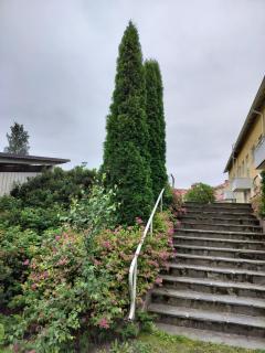 Alimman kerroksen yksiö - 2