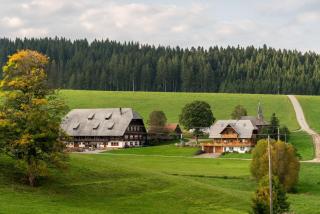 Bärenhof Backhaus - 9