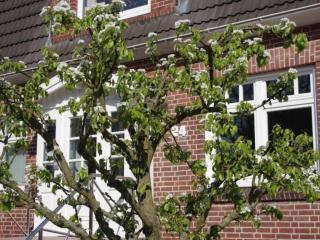 Apartment Gästehaus Kopp Wohnung Nr- 02 in Cuxhaven-Duhnen by Interhome - 9