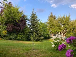 Apartment Geräumige Wohnung in Bad Elster mit Terrasse- Garten und Grill by Interhome - 1