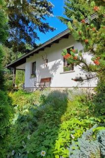 Holiday Home Am Wald gelegenes Ferienhaus Wolf mit Kamin by Interhome - 7